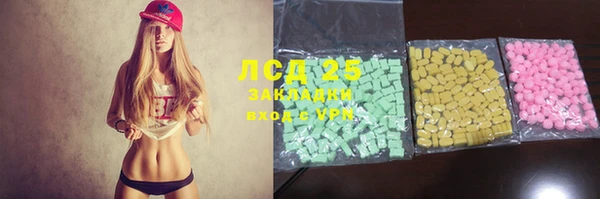 прущие грибы Аркадак